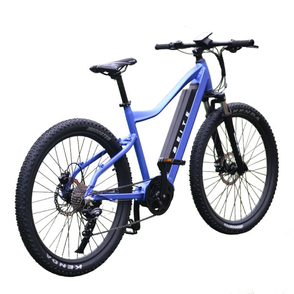Electric Bike Manufacturer - Mid Drive Motor Ebike