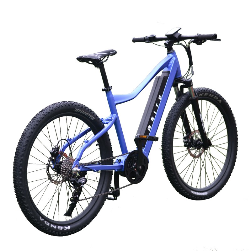 Electric Bike Manufacturer - Mid Drive Motor Ebike