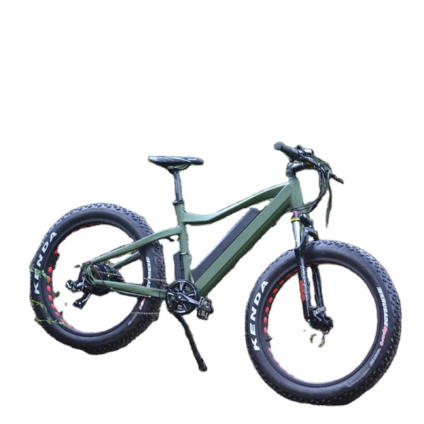 Ebike Manufacturer - 1500W Fat Mountain Electric Bike