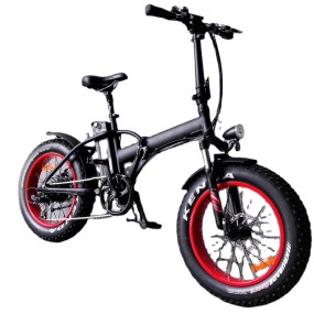 Electric Bike Factory - Israel Big Wheel Foldable