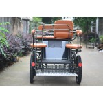 Horse Carriage Factory - Professional Marathon Carriage