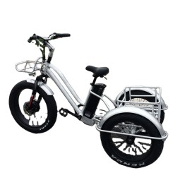 Electric Tricycle Factory - Three Wheel Fat Tire Bike