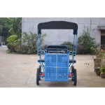 Horse Carriage Manufacturer - Folding Canopy Pony Carriage