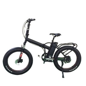 Electric Bike Manufacturer - 24 Inch Fat Tire Folding