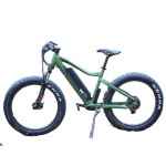 Ebike Factory - 48V 750W Beach Cruiser