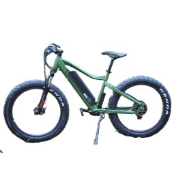 Ebike Factory - 48V 750W Beach Cruiser