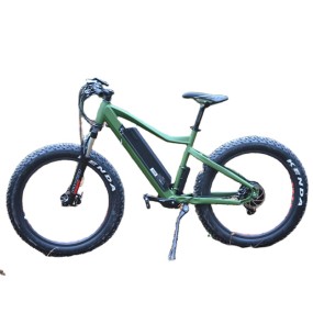 Ebike Factory - 48V 750W Beach Cruiser