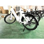 Ebike Factory - Carbon Fiber Full Suspension Frame