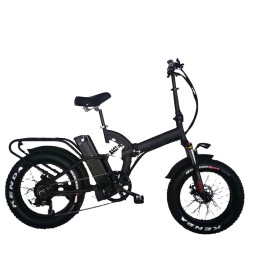 Electric Bike Manufacturer - Classical Folding CE Ebike