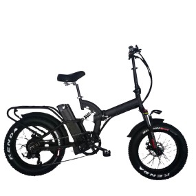 Electric Bike Manufacturer - Classical Folding CE Ebike