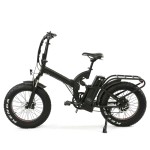 Ebike Factory - 48V 750W Folding Fat Tire