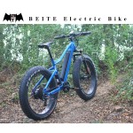 Electric Bike Manufacturer - CE LCD Rear Hub Motor