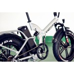 Ebike Factory - 48V 750W Folding Fat Tire
