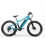 Ebike Factory - Cheap Price Mountain Snow Ebike