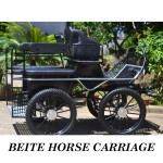 Horse Carriage Manufacturer - Professional Marathon BTH-01