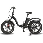 Ebike Factory - Italy Hot Sale Folding Fat Bike