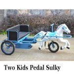 Pedal Cart Factory - Kids Pedal Horse Cart