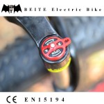 Ebike Factory - 1000W Bafang Fat Tire