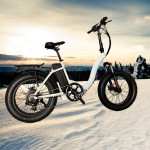 Electric Bicycle Manufacturer - City Electric Bicycle