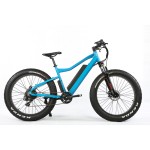 Electric Bike Manufacturer - 48V 1000W MTB Fat Tire