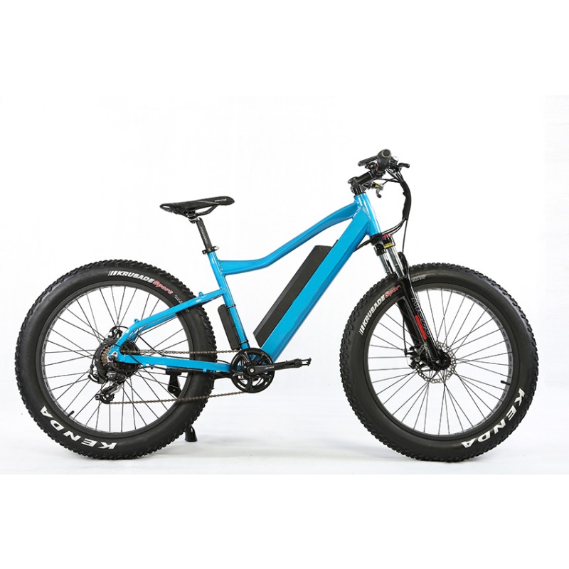 Electric Bike Manufacturer - 48V 1000W MTB Fat Tire