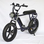 Electric Bike Manufacturer - Big Flat Seat Ebike