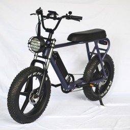 Electric Bike Manufacturer - Big Flat Seat Ebike