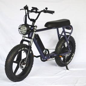 Electric Bike Manufacturer - Big Flat Seat Ebike
