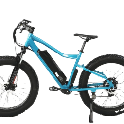 Ebike Manufacturer - Factory Direct Electric Bike