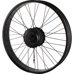 Electric Motor Manufacturer - 48V 500W 750W Brushless