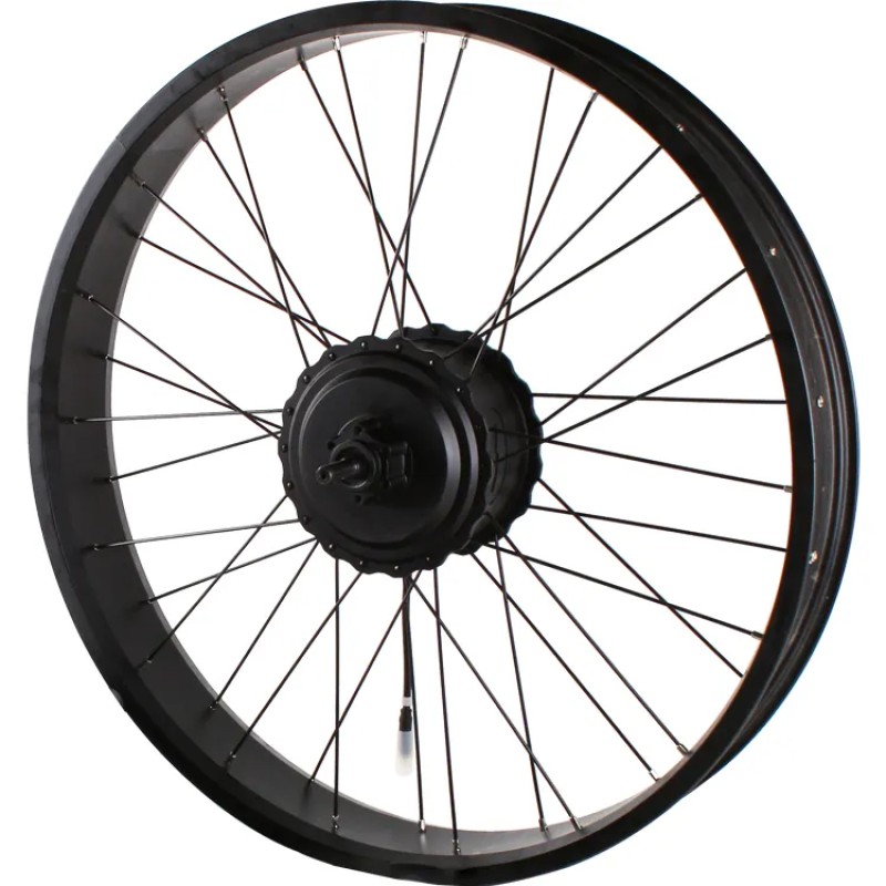 Electric Motor Manufacturer - 48V 500W 750W Brushless