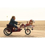 Children Cart Manufacturer - Double Seat Pedal Sulky