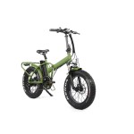 Electric Bike Manufacturer - 20 Inch Folding Fat Tire