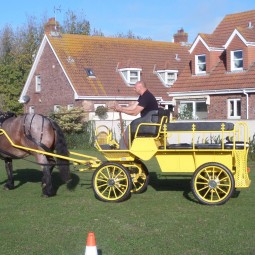 Horse Carriage Parts Factory - Buggy Component Set