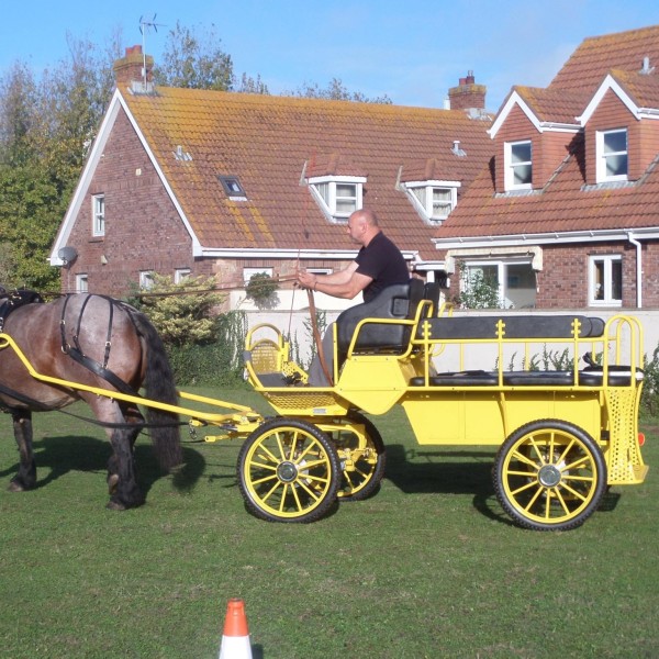 Horse Carriage Parts Factory - Buggy Component Set