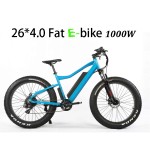 Ebike Factory - 1000W Bafang Fat Tire