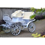 Horse Carriage Factory - Steel Sightseeing Wagon
