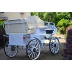 Horse Carriage Factory - Steel Sightseeing Wagon