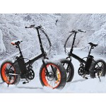 Ebike Factory - 20 Inch Fat Tire Electric Bike