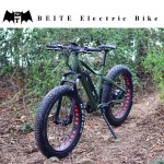 Ebike Manufacturer - 1500W Fat Mountain Electric Bike