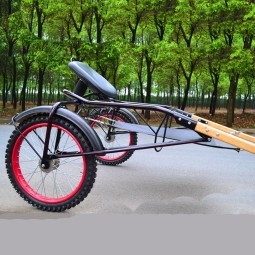 Dog Cart Manufacturer - Dog Sulky Carriage