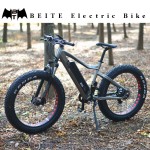 Electric Bike Factory - Big Power Modern Fat Ebike