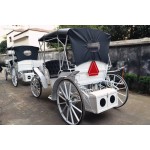 Horse Carriage Manufacturer - White Cinderella Carriage