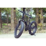 Ebike Manufacturer - High Speed CE Approved