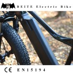 Electric Bike Factory - New 48V 750W Ebike