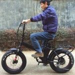 Electric Bike Manufacturer - 48V 500W Italy Folding