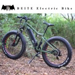 Ebike Factory - 48V 750W Beach Cruiser