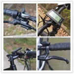 Ebike Factory - 1000W Bafang Fat Tire