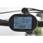 Electric Bike Factory - 36V 20" Folding Fat Tire