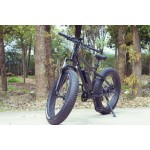 Ebike Manufacturer - Throttle Control Fat Tire
